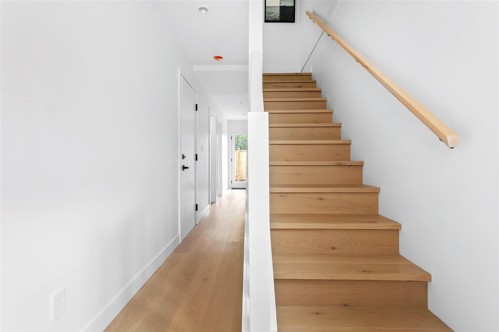 Twelve Cedars 5